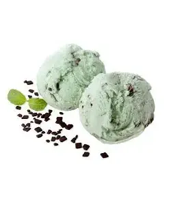 MINT CHOCO CHIP ICE CREAM  5L