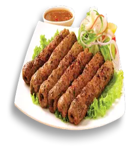 SPICY DELIGHT MEAT SEEKH  KEBAB X  20